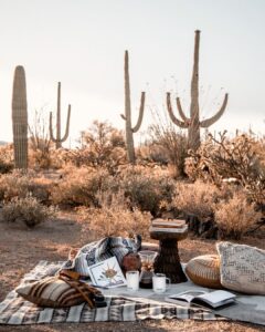 5 Essentials for High Desert Living